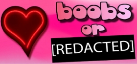 Boobs or [redacted] Box Art