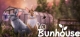 Bunhouse Box Art