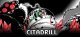 CitaDrill Box Art