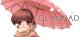 CLANNAD Box Art