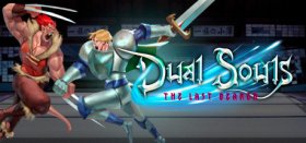 Dual Souls: The Last Bearer Box Art