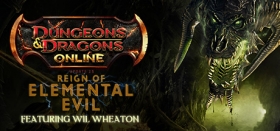 Dungeons & Dragons Online® Box Art