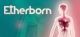 Etherborn Box Art