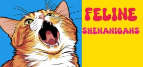 Feline Shenanigans Box Art