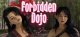Forbidden Dojo Box Art