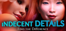 Indecent Details - Find the Difference Box Art