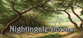 Nightingale Downs Box Art