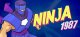 Ninja 1987 Box Art