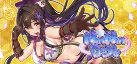 NinNinDays Box Art