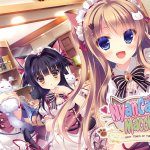 Nyan Café Macchiato ~ Sexy Times at the Cat Café ~ Review