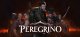 Peregrino Box Art