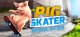 Pig Skater Simulator Box Art