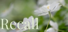 Recall (2021) Box Art