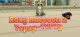 Roxy Raccoon 2: Topsy-Turvy Box Art