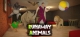 Runaway Animals Box Art