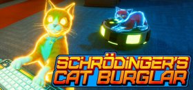 Schrodinger's Cat Burglar Box Art