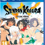 Senran Kagura Estival Versus Review