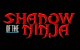 Shadow of the Ninja Box Art