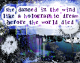 she danced in the wind like a holographic dream before the world died Box Art