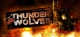 Thunder Wolves Box Art