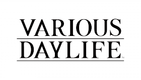 VARIOUS DAYLIFE Box Art