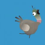 VR Pigeons Review