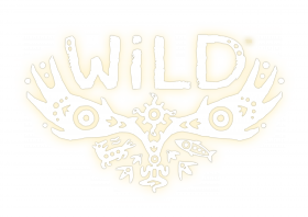 WiLD Box Art