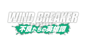 WIND BREAKER Box Art