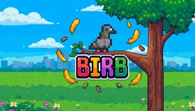 Birb Box Art