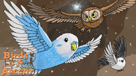 Birds of Ascent Box Art