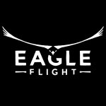 Eagle Flight shows off VR demo