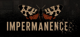 Impermanence Box Art