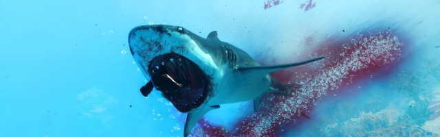 Types Of Shark-themed Games Worth Trying