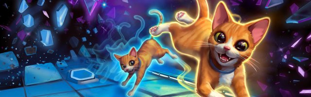 Schrodinger's Cat Burglar Review