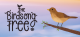 The Birdsong Tree Box Art