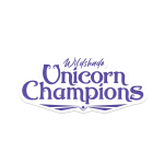 Wildshade: Unicorn Champions Review