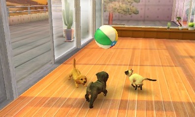 3DS Nintendogs + Cats Game