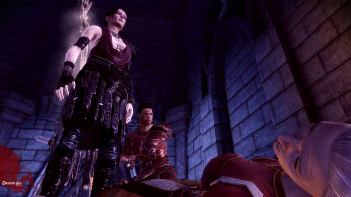 dragon age origins - Is it possible to see how much your